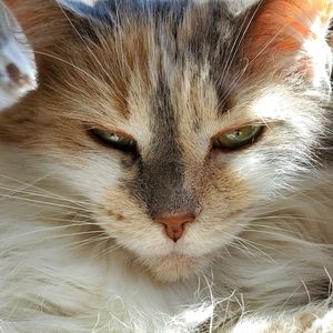 Meet your Posher, Kym